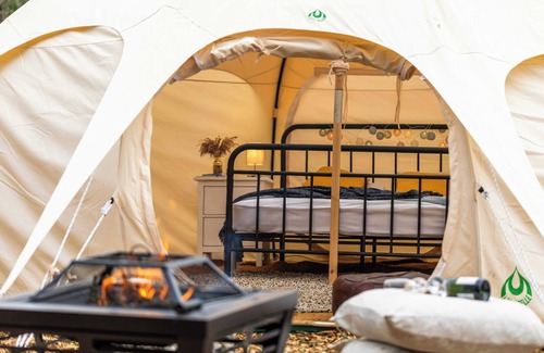 Bath RV Rental | Luxury Glamping - The Natterjack, Bath