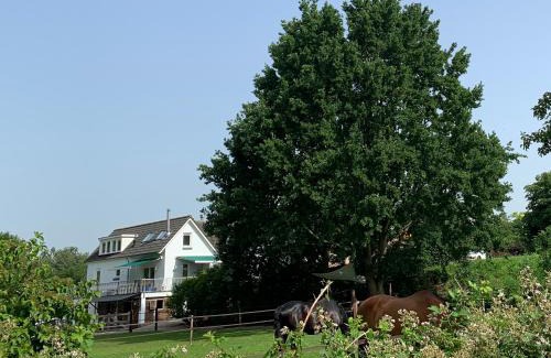 Aalst Bed & Breakfast | Luxury Guest House - Eik op de dijk
