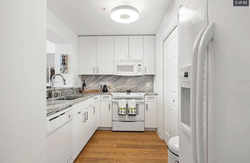 Hyde Park Apartment | Luxury High Rise Penthouse - Tampa/Bayshore