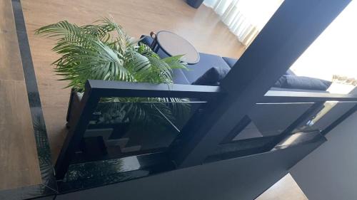 Santa Lucia Apartment | Luxury House 3 bedrooms Jacuzzi