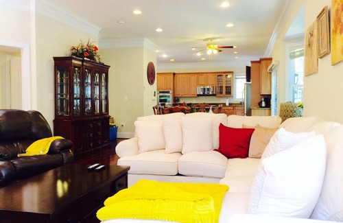 Annandale House | Luxury huge Victorian Villa 7000 sq ft. 15 min to DC. Sleeps 27 guests.