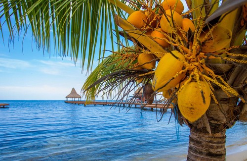 Pristine Bay House | Luxury island getaway with beach and kayaks - Casa Atlas