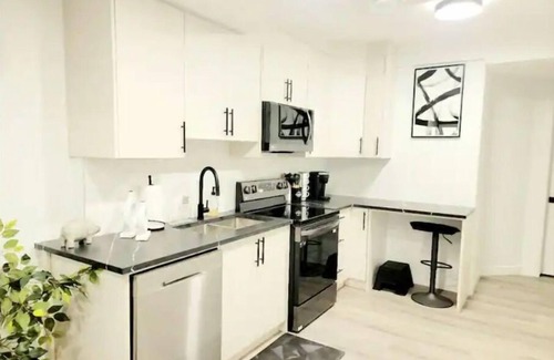 Evanston Apartment | Luxury Living Basement suite