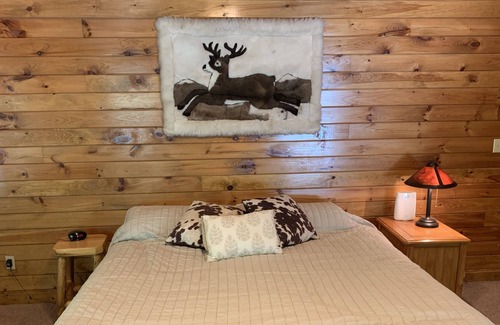 Goode Cabin | Luxury Log Cabin Nestled in the Blue Ridge Mountains