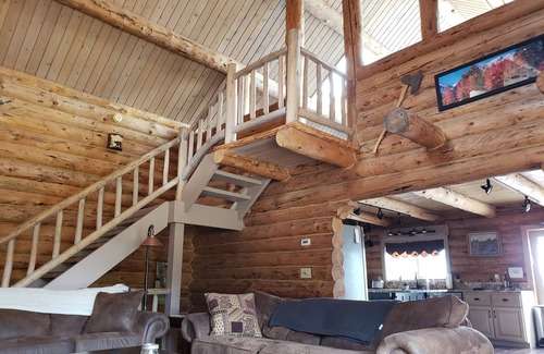 Buena Vista House | Luxury Log Home at Foot of Mt. Princeton