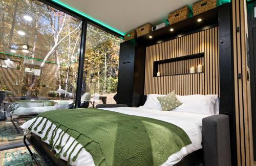 Mars Hill House | Luxury Mirror House-private, hot tub, 1 way glass