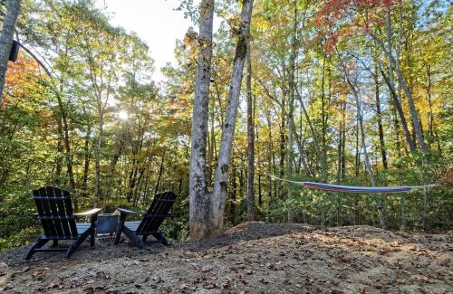Mars Hill House | Luxury Mirror House-private, hot tub, 1 way glass