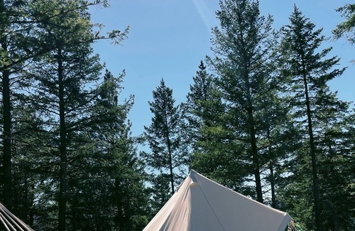Kila Cabin | Luxury Montana Glamping Tent With Views
