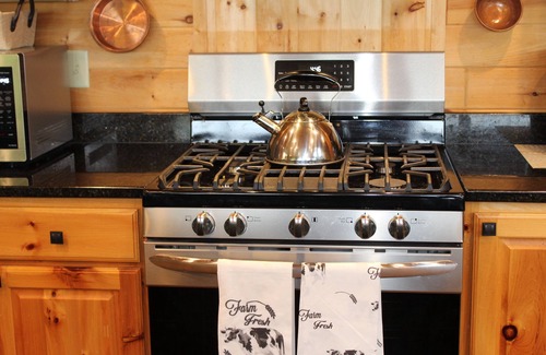 Minong Cabin | Luxury North Woods Lake Home in Minong, WI