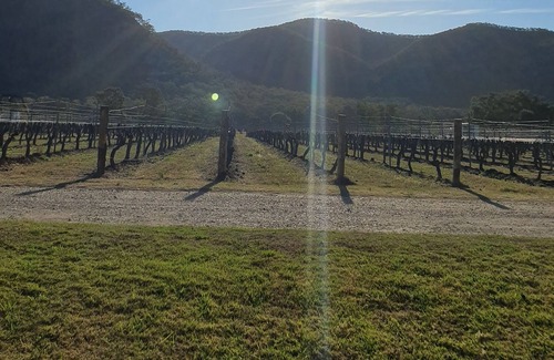 Fordwich Apartment | Luxury One Bedroom Apartment set amongst the vines