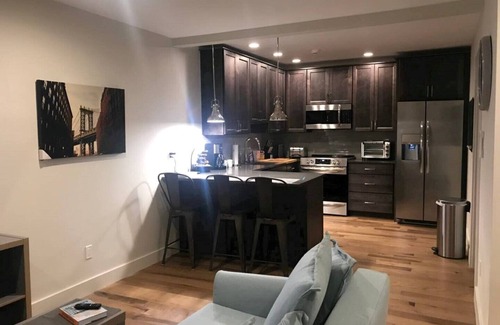 Federal Hill House | Luxury OneBedroom Condo #15-2 Federal Hill LongTerm PLEASE READ DESCRIPTION !