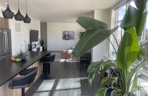 Ballpark Apartment | Luxury Penthouse Downtown Denver