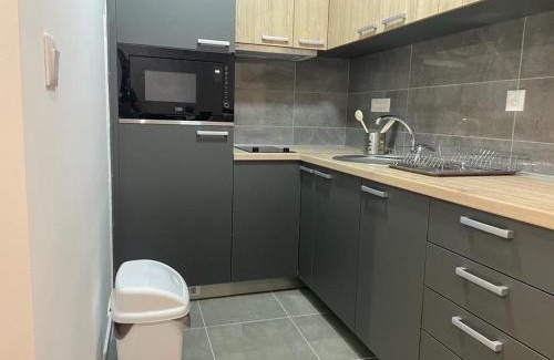Jagodina Apartment | luxury Pool Apartment Jagodina