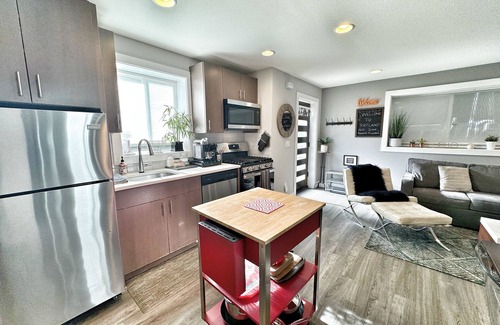 Sabin Apartment | Luxury Private Apartment - Kitchen, Washer & Dryer, Sleeps 4, Prime Location!