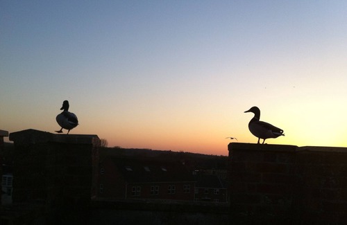 Oxford City Centre Apartment | Luxury Riverside Studio with Conservatory and Wharf in the centre of Oxford