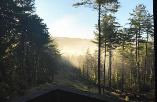 Catskill Cabin | Luxury secluded Catskill log cabin on creek-ski hike great restaurants mins away