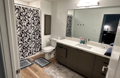 Lyon Street Apartment | Luxury spacious One Bedroom Apt close to Disneyland!