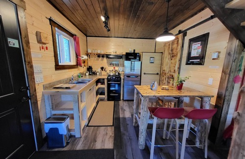 Nordegg Cabin | Luxury Stargazer Cottage - The Deer Den