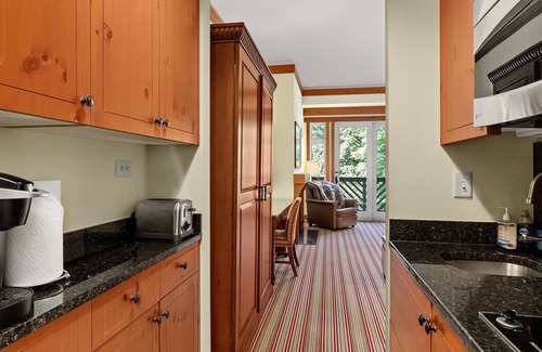 Stowe Area Apartment | Luxury Studio Ski in -ski out Mt Mansfield Views, Mountain Golf Course Access