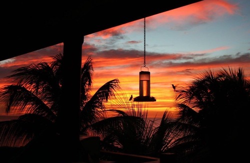 Brighton Villa | Luxury Stunning 5 Bedroom Beach-House on the Best Beach in Barbados