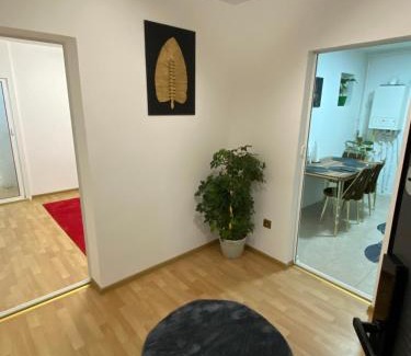 Alexandria Apartment | Luxury Suites