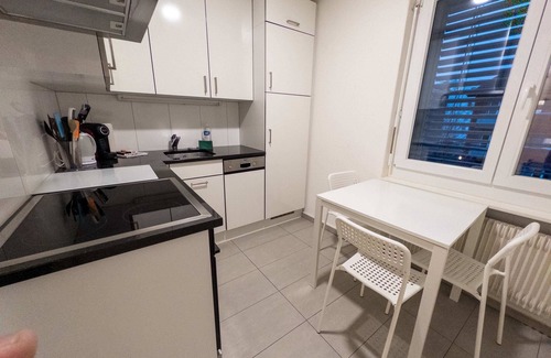 Wallisellen Apartment | Luxury Sunrise Terrace, 4.5 Rooms (FR-22)