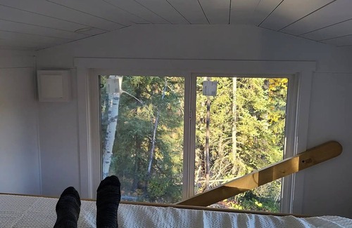 Bellevue Cabin | Luxury Tiny Home Cabin, 2 Bedrooms, can sleep 5
