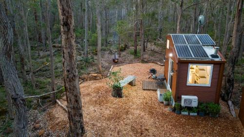 Rosa Glen Apartment | Luxury Tiny Homes in the Forest