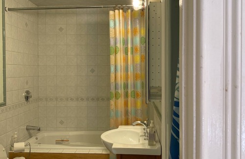 Roxbury House | Luxury townhouse w pks 10 minutes from Fenway, S End Brigham circle & downtown