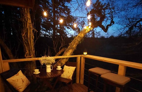 Pencader House | Luxury Treehouse Escape Carmarthenshire Countryside near Cardigan Coast