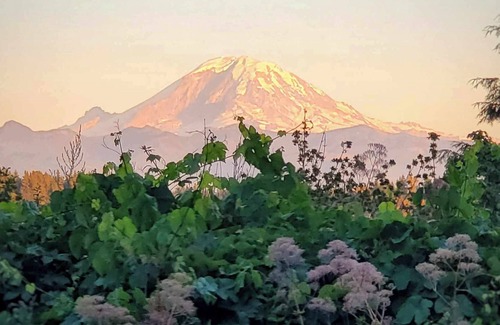 Auburn Cabin | Luxury Viking Themed Yurt! A Glamping and Spa experience 35 miles from Seattle!