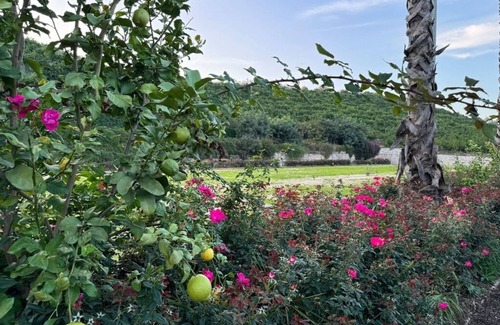 Cantillana Cottage | Luxury villa at the gates of the Sierra Norte of Seville