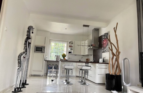 Hamburg-Blankenese Villa | Luxury villa, garden, fully equipped Hamburg Blankenese, sauna EFH top location