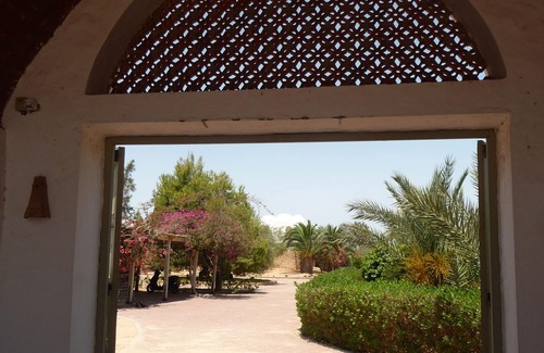 Sedouikech House | Luxury villa in olive grove on 2 ha and large swimming pool