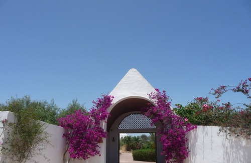 Sedouikech House | Luxury villa in olive grove on 2 ha and large swimming pool