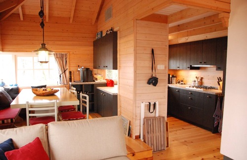 Warten Villa | Luxury villa on an island in National Park Alde Feanen, Eernewoude, Friesland