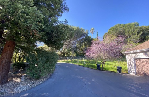 Green Valley House | Luxury Villa with 6k sqft House in a 2 Acre Vineyard