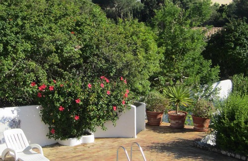 Mato Serrao Villa | Luxury Villa with Panoramic Sea Views