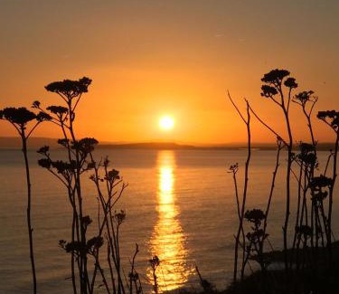 New Forest District Resort | Luxury Woodland Retreat Holiday Home - Shorefield Country Park