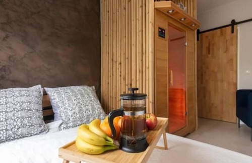 Bad Ems Apartment | Luxus Suite in a Great Spa Town of Europe