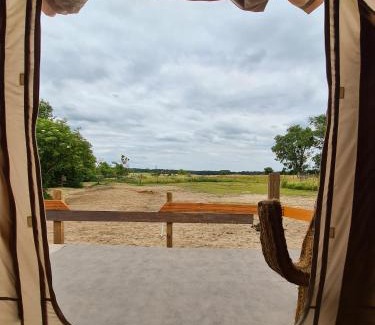 Schoeneberg b. Angermuende Other | Luxuszelt in der Pferdeherde