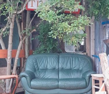 Schoeneberg b. Angermuende Other | Luxuszelt in einer Pferdeherde