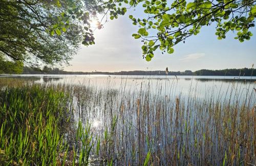Lychen Villa | Lychenseevilla mit Seeblick, Wintergarten, Kamin und Sauna