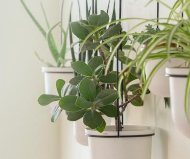 Bath House | Lynfield - Spacious Family Home with Parking on the Outskirts of Bath