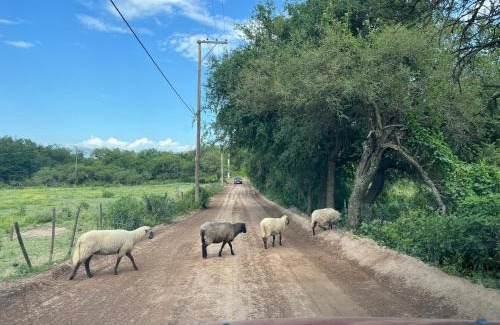 Rio Ceballos House | Mía Casa de Campo