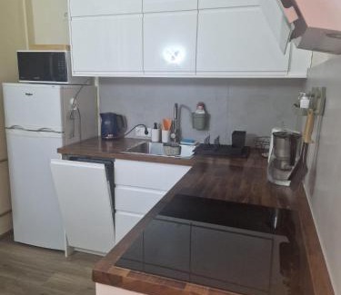 Tartu Apartment | Mõisavahe apartment