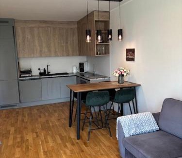 Tartu Apartment | Mõisavahe street Apartment