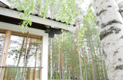 Puumala House | Mökki Aapola