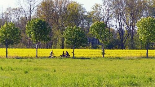Muritz House | Müritzurlaub an der Kastanie in Sembzin