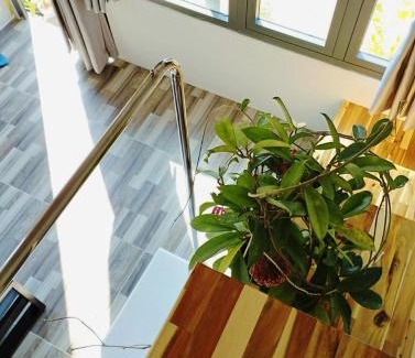 Ke Ga House | Mơ Homestay Kê Gà (Mer Bleue Homestay)
